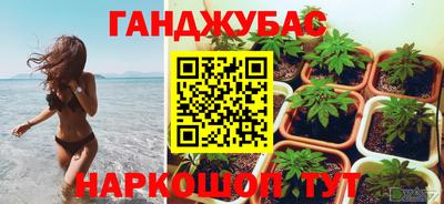 крисы Заводоуковск
