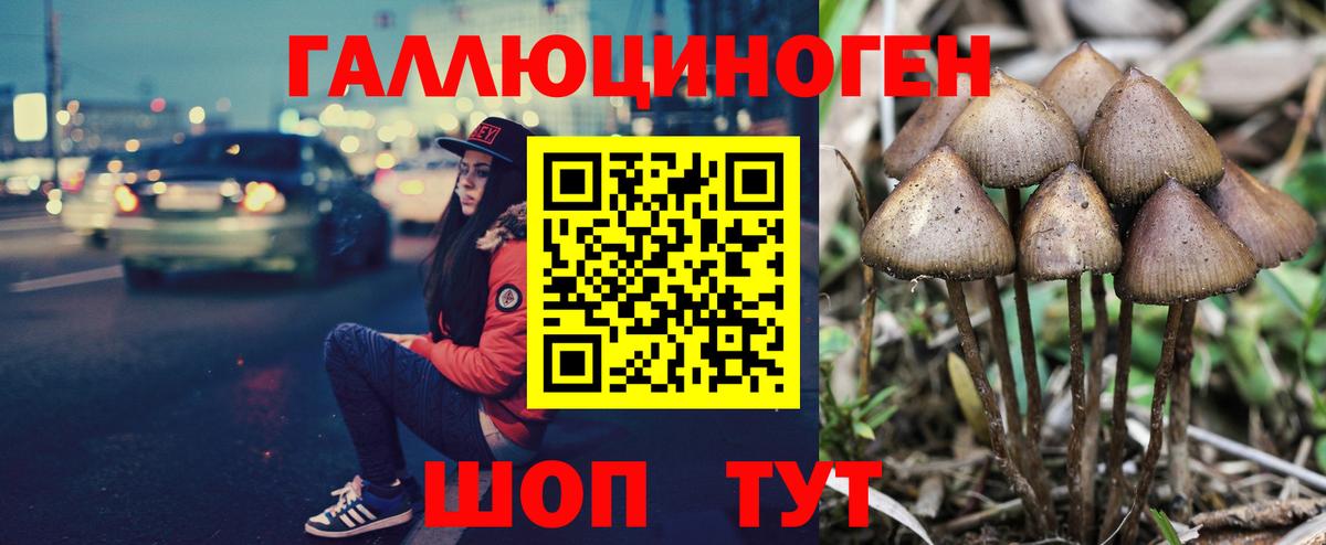Вологда  Галлюциногенные грибы GOLDEN TEACHER  Вход с VPN 